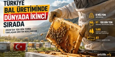 Türkiye'de arı kovanı ve bal üretimi, bal peteği üzerinde çalışan arıcı