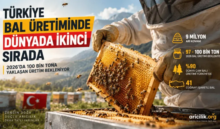 Türkiye Bal Üretiminde Dünyada İkinci Sırada: 2026’da 100 Bin Ton Hedefi