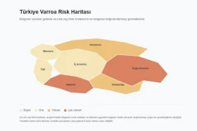 Türkiye'deki Varroa risk bölgelerini gösteren arıcılık haritası