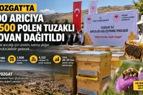 Arıcılık Kayıt Sistemi (AKS) Nedir? e-Devlet ile Kovan ve Arılarınızı Hemen Sorgulayın
