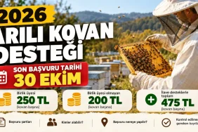 Arıcılık Kayıt Sistemi (AKS) Nedir? e-Devlet ile Kovan ve Arılarınızı Hemen Sorgulayın