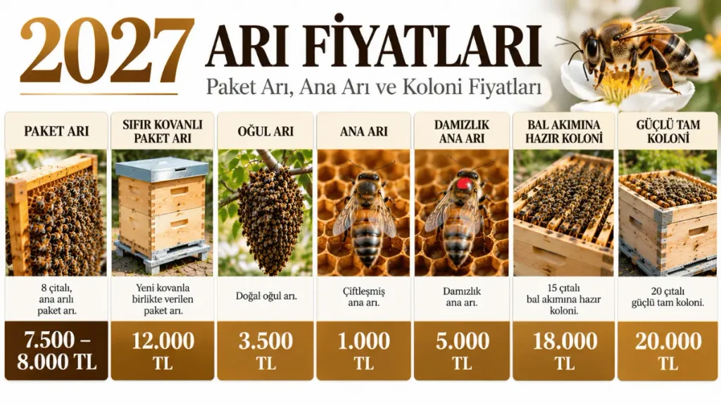 2027 arı fiyatları, paket arı, ana arı, oğul arı ve güçlü koloni fiyatlarını gösteren tablo