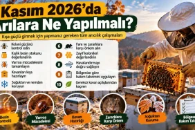 Arıcılık.org'un Kasım 2026'da arıcıların yapması gereken 10 maddelik kış hazırlığı ve bakım listesi.