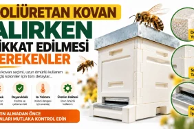 Poliüretan arı kovanında yoğunluk, gövde dayanıklılığı ve üretim kalitesinin kontrol edilmesi