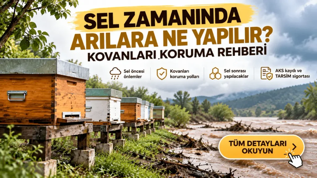 Sel zamanında arı kovanlarını koruma ve TARSİM sigortası rehberi