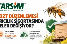 Balda Üretici ile Market Arasındaki Fark Üç Kata Çıktı: TAB'dan Fiyat Uyarısı